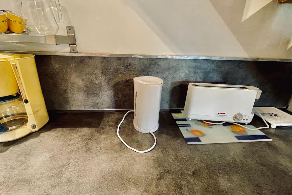 La Petite Sirene Villa Roscanvel Eksteriør billede